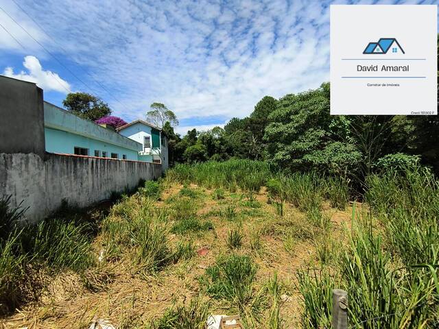 #315 - Área para Venda em Jarinu - SP - 3