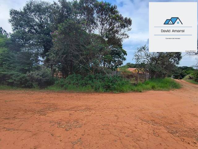 #321 - Área para Venda em Jarinu - SP - 3