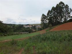 #209 - Galpão para Venda em Jarinu - SP - 1