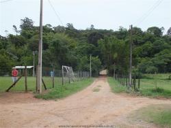 #209 - Galpão para Venda em Jarinu - SP - 3